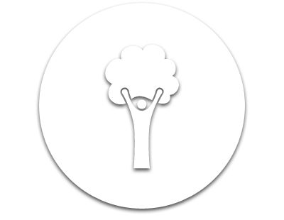 Environment 1 ENV