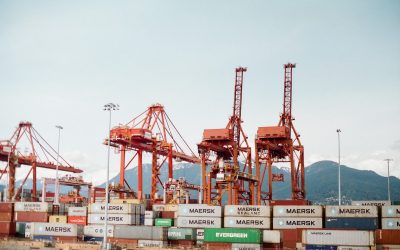 Early Effects of Trade War Caused by Trump Administration