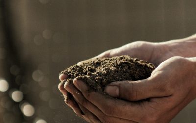 Trade, Not Aid: $12 Billion Aid Package for American Farmers Is Met with Mixed Responses