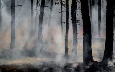 California Wildfires Keep Roaring