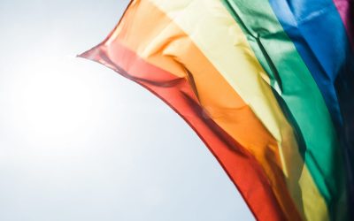 New Trump Administration Attacks on LGBTQIA+ Community
