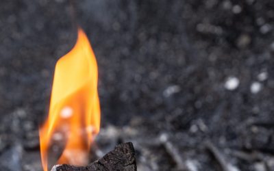 Coal and the NCA