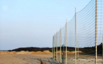 Catch and Release: An Update on Asylum Seekers