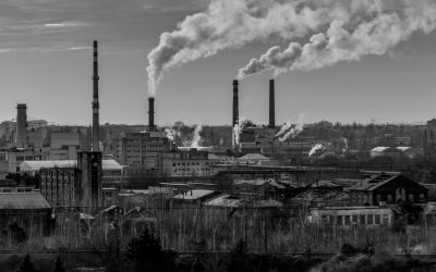 Amid Record CO2 Emissions, Majority of Americans Demand Climate Legislation