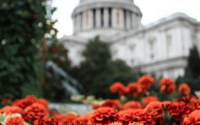 Supreme Court Greatly Limits Controversial Civil Asset Forfeiture Laws
