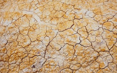 National Weather Service Predicts Record Number of Dangerously Hot Days for Millions by Mid-Century