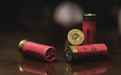 Gun Control Efforts in the U.S.
