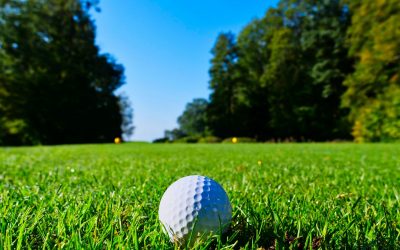 The Use of a Trump Golf Resort for a Meeting of the G-7