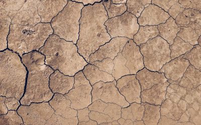 Good til the last drop: Colorado river’s drought contingency plan