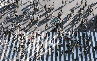 The 2020 Census – A Revolution in Understanding Who We Are or An Ill Timed Technological Experiment?