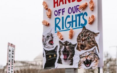 The Virus Is Used As An Excuse to  Threaten Women’s Right to Choose
