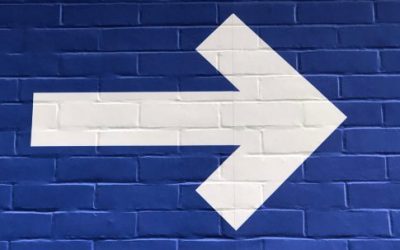 Recommended Democratic Party Platform Goals