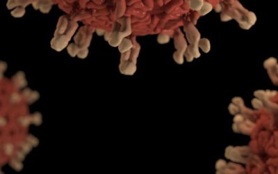 EU Leaders React to Trump’s Coronavirus Travel Ban