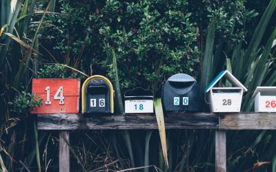 Election Responses to the Pandemic: Mail-In Voting and Virtual Conventions