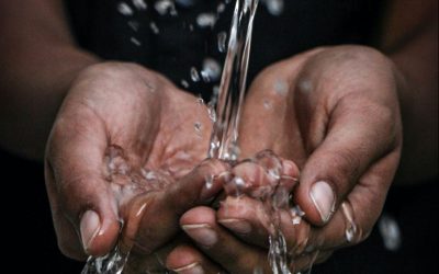 Trump Administration Refuses to Regulate Drinking Water Toxin Shown to Damage Babies’ Brains