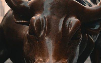 The Stock Market and Household Well-Being