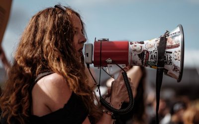 How Best to Protest