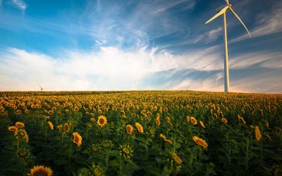 Rescinded Environmental Policies and how they will impact the Economy