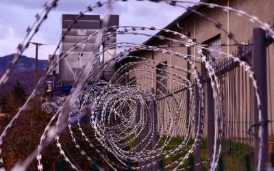 Prisoner Re-Entry Programs: Do They Work?