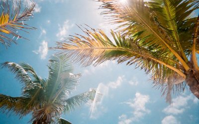 An Update on House Races in Florida