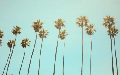 California’s Prop 22 and the Gloomy Future of the Gig Economy