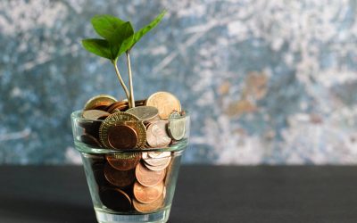 Consequences of the Lack of a Stimulus Package