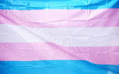 States Launch Assaults on the Rights of the Transgender Community: Part I