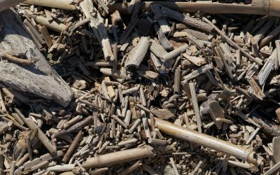 Wood Pellets: The New Renewable or the Same Old Story?