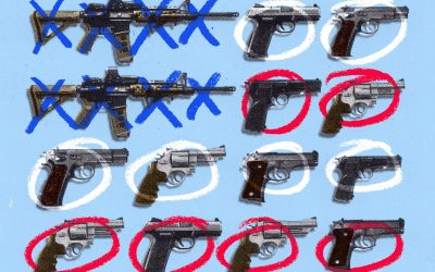 Updates on US Gun Reform Efforts