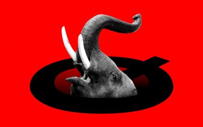 Republicanism is Dead: How Today’s Global Challenges Invalidate Current Republican Politics.