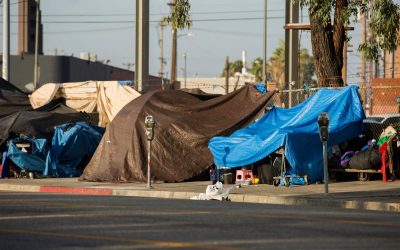 Federal Task Force Needed To Attack Roots of Public Despair