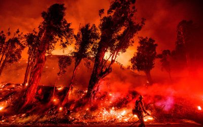 Will This Summer’s Extreme Weather Affect the World’s Resolve to Tackle Climate Change?