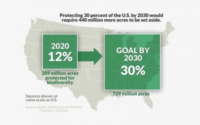 President Biden’s Important 30×30 Environmental Policy Goal