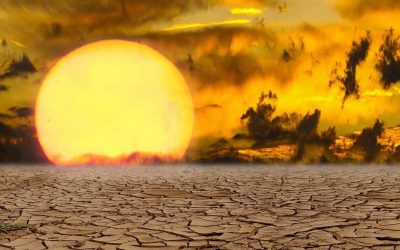 Part 2: Drought and Our Plans to Deal With it are Running Dry