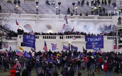 The Need for a Federal Statute To Combat Domestic Terrorism