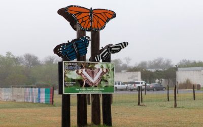 The Far-Right Insists That Even Butterflies Recognize Borders