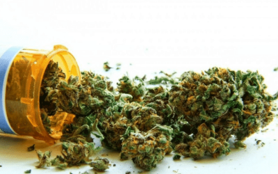 As Cannabis is Increasingly Being Legalized, What Are Its Health Risks and Benefits?