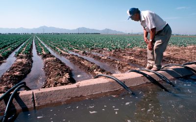 The Colorado River is Teaching a Lesson the Archeologists Know All Too Well
