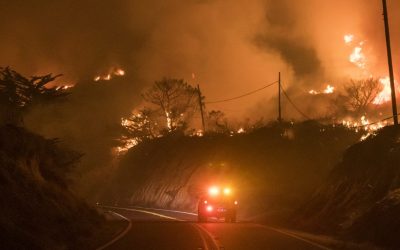 A Path to Reducing Reducing Wildfires 