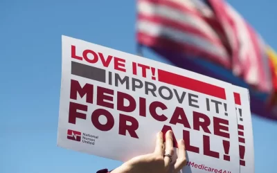 DEMOCRATIC PARTY PLATFORM SUGGESTIONS PART 2: HEALTHCARE