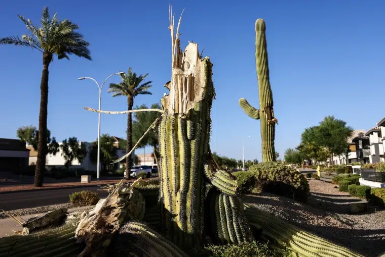 Extreme Heat Ravages Arizona