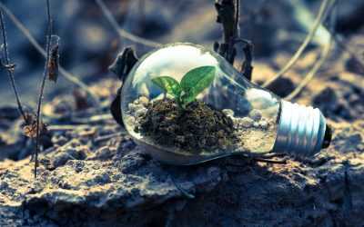 Leds May Signal Brighter Times Ahead