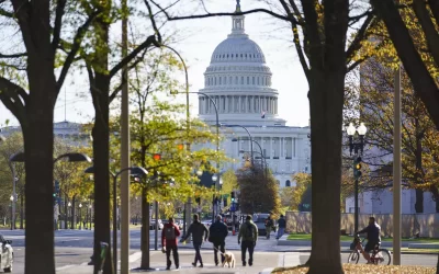 Examining Competitive US House Races in California