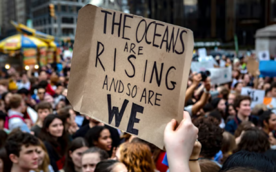 Youth Movements and Their Impact on The  Political Landscape