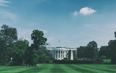 From Election to Inauguration: How Political Power Gets Transferred in the United States