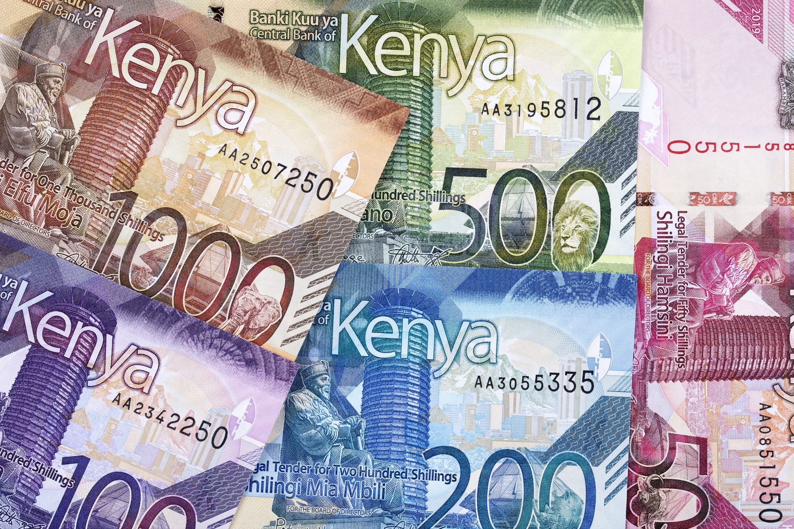 The Kenyan Debt Problem: A Tightrope of Austerity (Foreign Policy Brief #211)