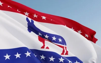 Suggestions for the Democratic 2026 Mid-Term Platform