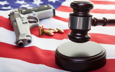 Is It Time to Take a Look at Our Own Gun Laws? (Social Justice Policy Brief #178)