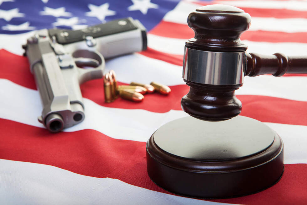 Is It Time to Take a Look at Our Own Gun Laws? (Social Justice Policy Brief #178)