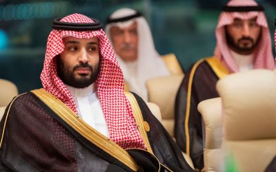 Saudi Arabia Enters the Video Game Industry (Foreign Policy Brief #219)